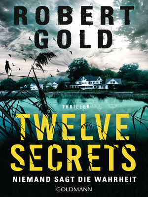 cover image of Twelve Secrets -